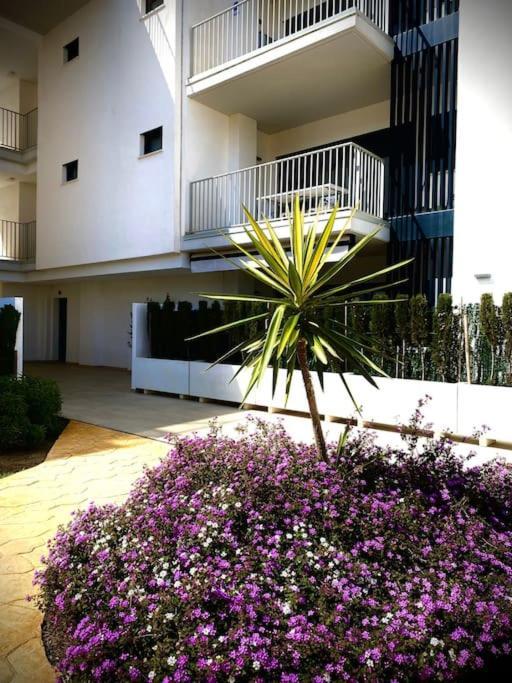 Mychoice Terraces Lägenhet Rota Exteriör bild